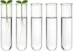 YIBOT Glass Plant Propagation Tubes Accessories Glass Test Tubes Tiered Planters Wall Terrarium for Home Office Plant Hanger Flower Vases Wall Decor Hydroponic Cuttings (5 Tube Vases) Clear