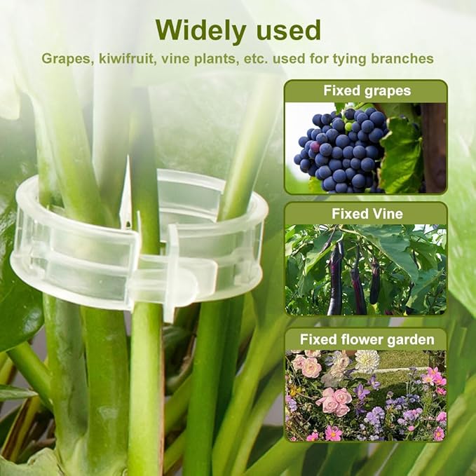 Thickened Plant Fixing Clip 100Pcs, 2025 Summer New Tomato Grape Vine Vegetables Plant Fixing Clips, Upgrade Plant Support Clips Reusable Garden Clips Secured Plastic Plant Clip (300, Green)