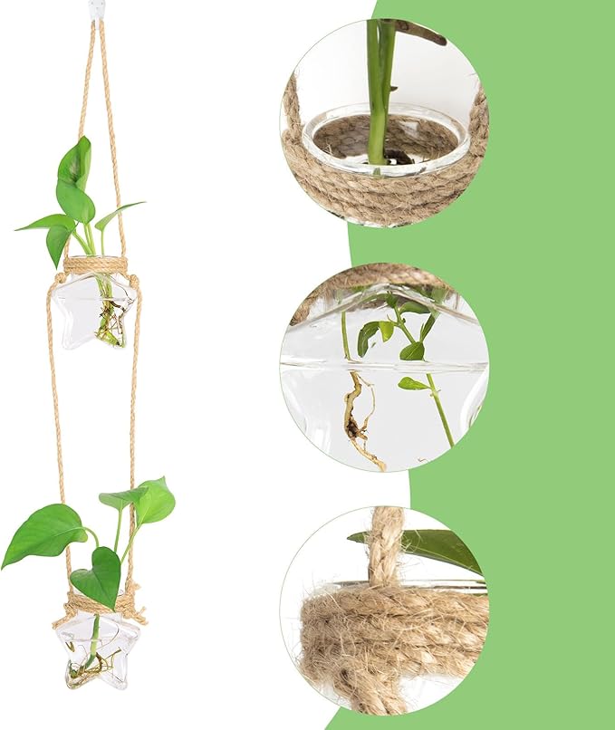 XXXFLOWER Wall Hanging Propagation Station，2 Tiers Star Shaped Glass Flower Vase for Hydroponic Planter Terrarium for Plant Cutting Home Office Living Room Garden Decor