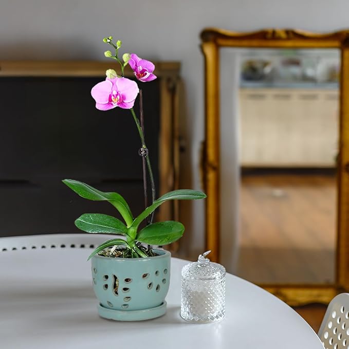 W&W Orchid Pot with Holes and Saucer for Repotting, Turquoise, 5.8"