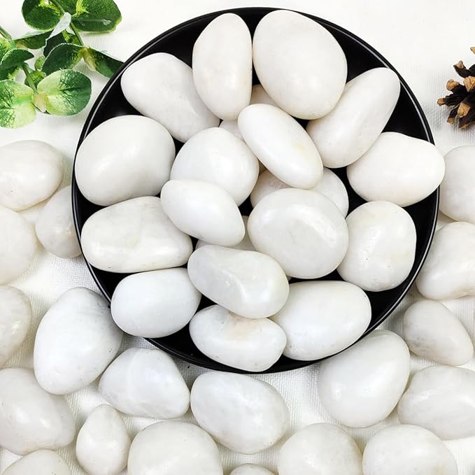 YISZM 20lbs White River Rocks, 1-2 Inch Natural Pebbles for Indoor Plants, High Polished Decorative Stones Vase Filler Fish Tank Aquariums Landscaping Garden Outdoor and Indoor DIY