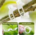 Thickened Plant Fixing Clip 100Pcs, 2025 Summer New Tomato Grape Vine Vegetables Plant Fixing Clips, Upgrade Plant Support Clips Reusable Garden Clips Secured Plastic Plant Clip (200, Green)