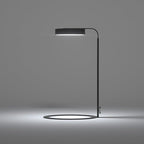 LANDEN LED Desk Lamp with Magnetic Head – 3 Modes & USB Timer, Stepless Dimming, Full Spectrum Light for Terrariums, Plants, Bonsai, or Minimalist Ambient Lighting for Bedroom, Office, Workspace