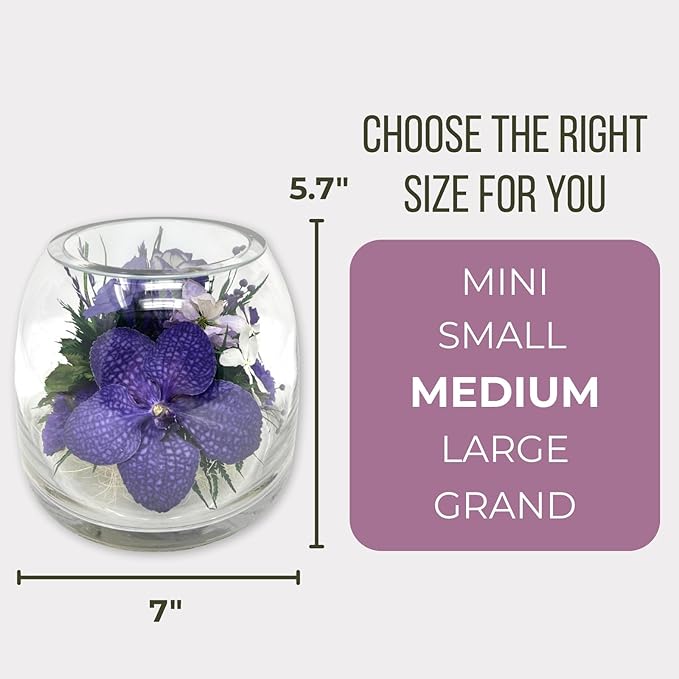 Fiora Flower Elegant Orchid Arrangement in Glass Vase | Preserved Real Orchids Lasting 5 Years | Ideal for Home Decor or Romantic Gift