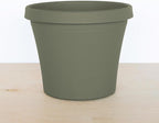 Bloem Terra 6" Diameter Round Living Green Resin Planter Pot with Drainage Holes for Indoor and Outdoor Gardening