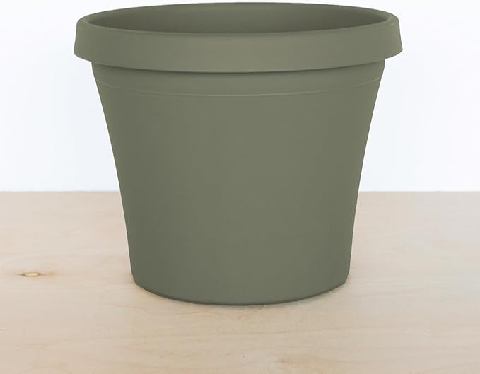 Bloem Terra 6" Diameter Round Living Green Resin Planter Pot with Drainage Holes for Indoor and Outdoor Gardening