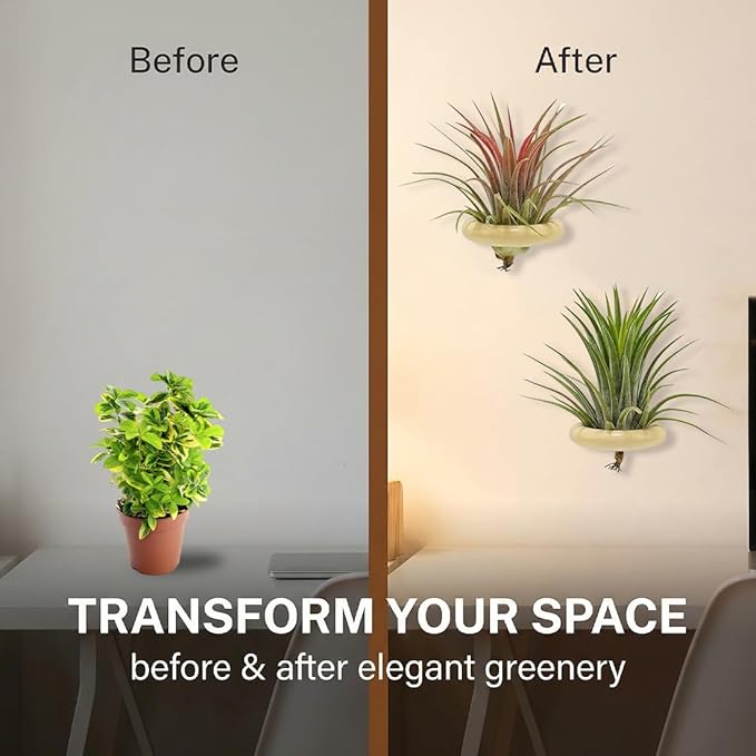 Magnetic Air Plant Holder 6-Pack, 4.5cm Wooden Ring Suspended Display for Tillandsia, Natural Wood Magnet Wall Mount & Refrigerator Sticker, Includes 6 Magnetic Patches Light Wood
