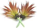 2 PCS Artificial Succulents Plants Real Touch Lifelike Succulants Plants Faux Greenery Plants Garden DIY Home Office Decoration Ornament (Red Agave)