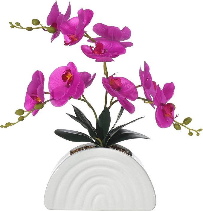 Fake Orchid Plant in White Rainbow Pot, Artificial Silk Phalaenopsis Orchid Flowers for Home Décor, Table Centerpiece, Office Desk (Fuchsia)