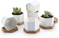 T4U Small White Succulent Planter Pots with Bamboo Tray Hexagon Set of 6, Geometric Ceramic Cactus Plant Holder, Gifts for Plant Lover Gardener Women, Home Office Table Desk Decoration