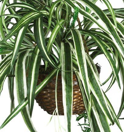 Nearly Natural 6607 Spider Hanging Basket Decorative Silk Plant, Green,10.25" x 10.25" x 17.5"
