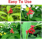 60PCS Plant Training Clips, 90 Degrees Bud Trainer Clips Low Stress Training Clips Bud Bender for Plant Gardening (Red)
