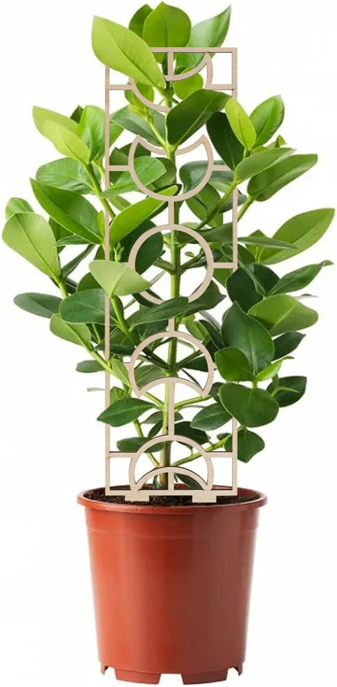 KEILEOHO 6 PCS Wooden Trellis, 16.2 Inch Wooden Climbing Indoor, Small Plant Trellis Wood Indoor Potted Plants Trellis for Potted Climbing Plant, Vines, Ivy, Moon Geometric Shape Design