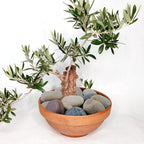 YISZM 20lbs Natural River Rocks, 3"-4" Premium Pebbles for Garden and Landscape Design, Hand-Picked Smooth Stones for Fish Tank, Flower Pots, Indoor Water Fountains, Pathways, Backyard