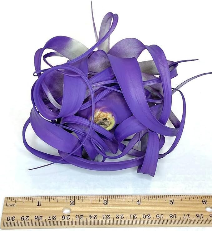 XL Xerographica Colored Air Plant, Live Tillandsia House Plant, Easy Care Indoor Outdoor, Great Gift, Healthy Arrival Guaranteed (Purple)
