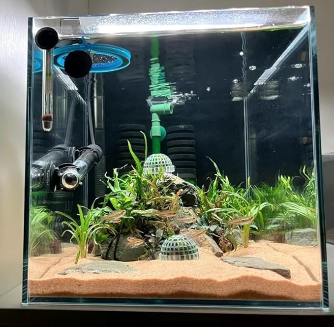4 Pack Aquarium Moss Ball Shape Holder, Fish Tank Moss Ball Live Plants Shaping Filter Planter, Exotic Moss Accessory Decor Ornaments for Aquarium Shrimp Betta Fish Tank