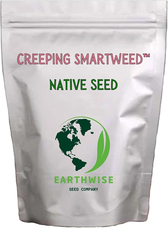 Earthwise Creeping Smartweed Seed – Native Groundcover Seed, Low Growing 4 to 6 in, Pink Blooms, Pollinator Friendly, Water Efficient, Pet Safe, Organic, Chemical-Free – Covers Up to 600 sq ft, 1/4 lb