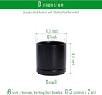 D'vine Dev 6.5 Inch Ceramic Planter Pot with Drainage Hole and Saucer, Indoor Cylinder Round Flower Pot, Black, 94-O-C-2