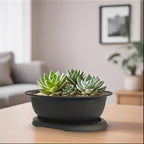 MUZHI 3 Pack Oval Bonsai Training Pot with Drainage Tray, Matte Finish Succulent Growing Pot for Home Garden Plant Outdoor Indoor Container (7.2" Medium)