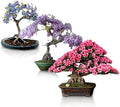 Flowering Bonsai Tree Seeds Bundle - 3 Types, All Flowering Tree Seeds, Vibrant Colors - Chinese Wisteria, Judas Tree, Blue Jacaranda