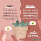 Original Earthlings Standing Pot - 4 Inch Cute Plant Pot - Plastic Funny Planter with Drainage - Unique Cactus Lover Gift - Small Succulent Face Flower Pot - Cute Plant Gifts for Plant Lovers