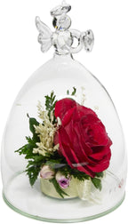 Fiora Flower | Long Lasting Real Roses in a Sealed Vase | Lasts up to 5 Years | Unique Present Gift