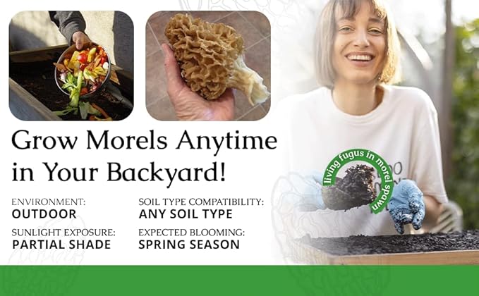 Garden Morel Mushroom Grow Kit - MOREL HABITAT KIT ® - Grow Morchella Mushrooms