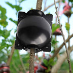 12 PCS Plant Root Growing Box, Reusable Air Layering Propagation Kit Rooting Ball Grafting Tools for Plant Propagation