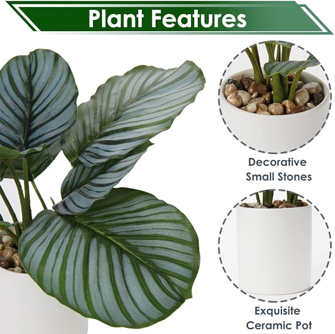 Briful Small Fake Plant 13" Faux Calathea Plants Indoor Artificial Potted Plant in White Ceramic Greenery House Plant for Home Table Office Bathroom Shelf Living Room Desk Decoration