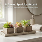 Mingfuxin Artificial Succulents Indoor, Set of 3 Mini Potted Greenery in Rustic Wood Planters, Tabletop Accent for Office, Bathroom Shelf, No Watering