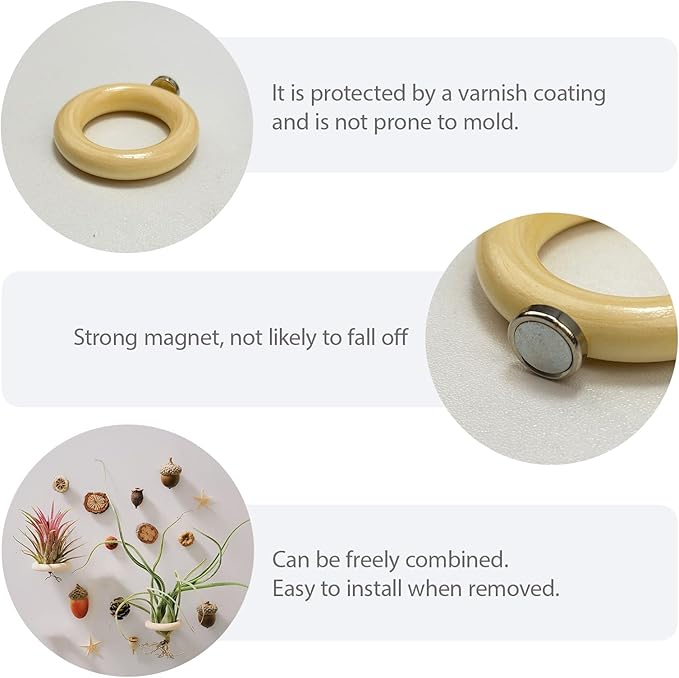 6 Pcs Air Plant Holder Magnet - Small Air Plant Display Stand Airplant Wall Mount Holder Wooden for Live Tropical Plants Home Office Decoration Supplies (Plants Not Included)