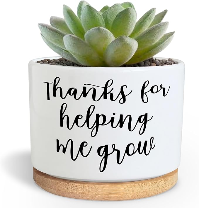 Teachers Appreciation Gift, 3.5 inch Ceramic Succulent Cactus Planter Pots for Indoor Outdoor, Thank You Gift for Mom Teacher Plant Lover Birthday Christmas Teacher's Day (No Plants)