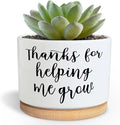 Teachers Appreciation Gift, 3.5 inch Ceramic Succulent Cactus Planter Pots for Indoor Outdoor, Thank You Gift for Mom Teacher Plant Lover Birthday Christmas Teacher's Day (No Plants)