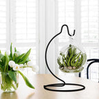 5 Inch Cute Ornament Display Stand, Black Ornament Hanger Stand for Hanging Glass Globe, Air Plant Terrarium, Witch Ball, Christmas Ornament and Home Wedding Decoration (1, 6.3x3.5 Black)
