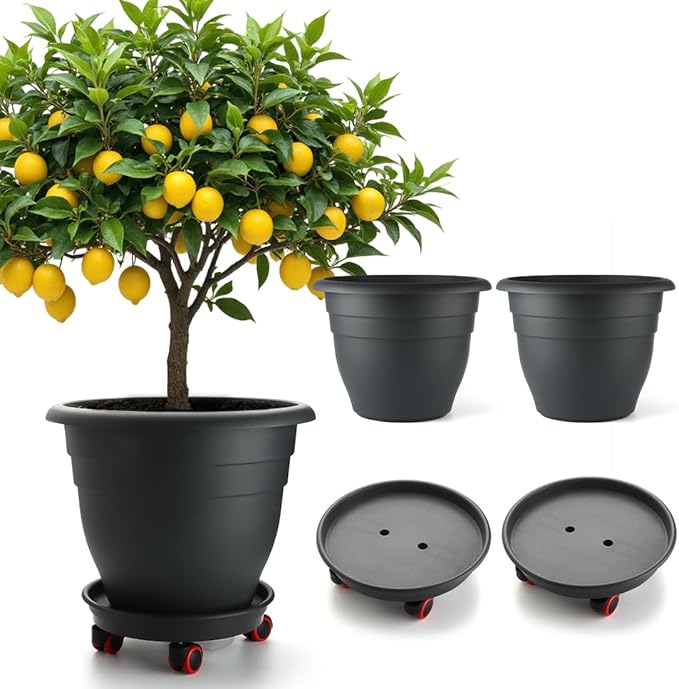 3 Pack 16 Inch Large Plant Pots with Rolling Saucers & Drainage Holes,Heavy Duty Plastic Planters for Indoor Outdoor Plants,Large Flower Pots with Wheels for Tall Plants(Black)
