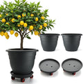 3 Pack 16 Inch Large Plant Pots with Rolling Saucers & Drainage Holes,Heavy Duty Plastic Planters for Indoor Outdoor Plants,Large Flower Pots with Wheels for Tall Plants(Black)