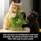 Cat Grass Seeds for Growing | 4 Way Blend, Rye, Wheat, Oats and Barley | Made in USA | Safe Non-GMO Pet Grass for Cats & Pets | Fast Sprouting (2 Pounds)