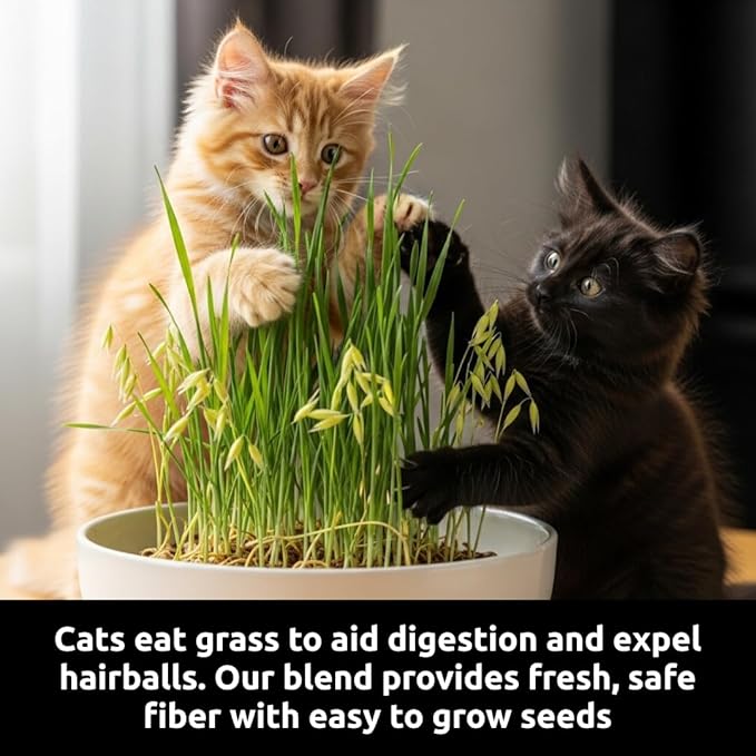 Cat Grass Seeds for Growing | 4 Way Blend, Rye, Wheat, Oats and Barley | Made in USA | Safe Non-GMO Pet Grass for Cats & Pets | Fast Sprouting (5 Pounds)