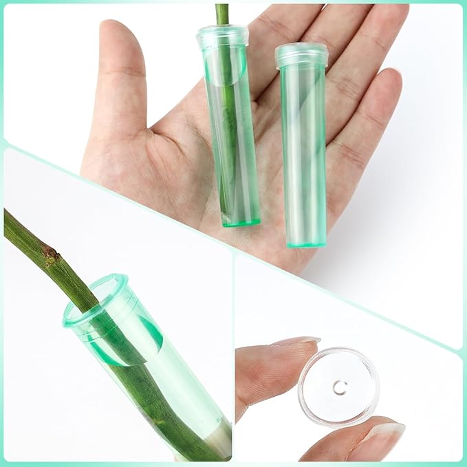 Vials for Flower Arrangements 2.8 Inch Floral Water Tubes Plastic Floral Vials with Caps (Green, 30 Pack)