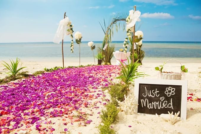 Miami Fresh Orchid Loose Bloom PERISHABLE flowers OrchidClub USA Sunne Tropical DIY lei, food & drink decoration (100 PURPLE)