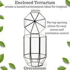 SuperMoss (90405) Glass Terrarium – Elegant Indoor Gardening Décor, Ideal Gifts for Plant Lovers, Modern Home & Office Decoration, 7.5” x 7.5” x 14”, Greenhouse