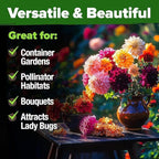 HOME GROWN USA Premium Zinnia Dahlia Seeds Pack for 2026,1048 Non-GMO Flower Seeds, Vibrant Zinnia Elegans for Planting Pollinator Gardens, Borders & Containers, Easy-to-Grow Outdoor Blooms
