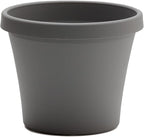 Bloem Terra 4" Diameter Round Charcoal Resin Planter Pot with Pre-Drilled Drainage Holes for Indoor and Outdoor Gardening