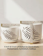 Set of 2 Orchid Pots with Holes, 5 and 6 Inch Ceramic Plant Pots for Plant Lovers – Great for Drainage & Airflow, Indoor/Outdoor Use, Perfect for Repotting