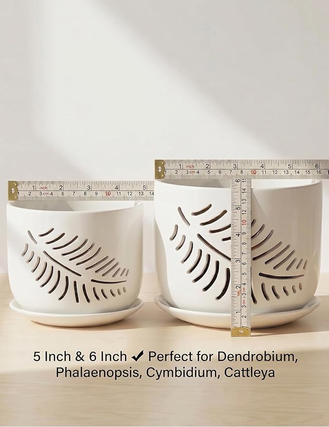 Set of 2 Orchid Pots with Holes, 5 and 6 Inch Ceramic Plant Pots for Plant Lovers – Great for Drainage & Airflow, Indoor/Outdoor Use, Perfect for Repotting
