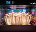Smart Growing Chamber for Indoor Mushroom Cultivation Eco Box with Grow Lights & Lighting Lamps Temperature & Humidity Monitoring & Display Monotub Grow Kit with Automatic Humidification & Ventilation