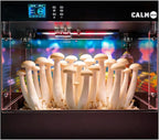 Smart Growing Chamber for Indoor Mushroom Cultivation Eco Box with Grow Lights & Lighting Lamps Temperature & Humidity Monitoring & Display Monotub Grow Kit with Automatic Humidification & Ventilation