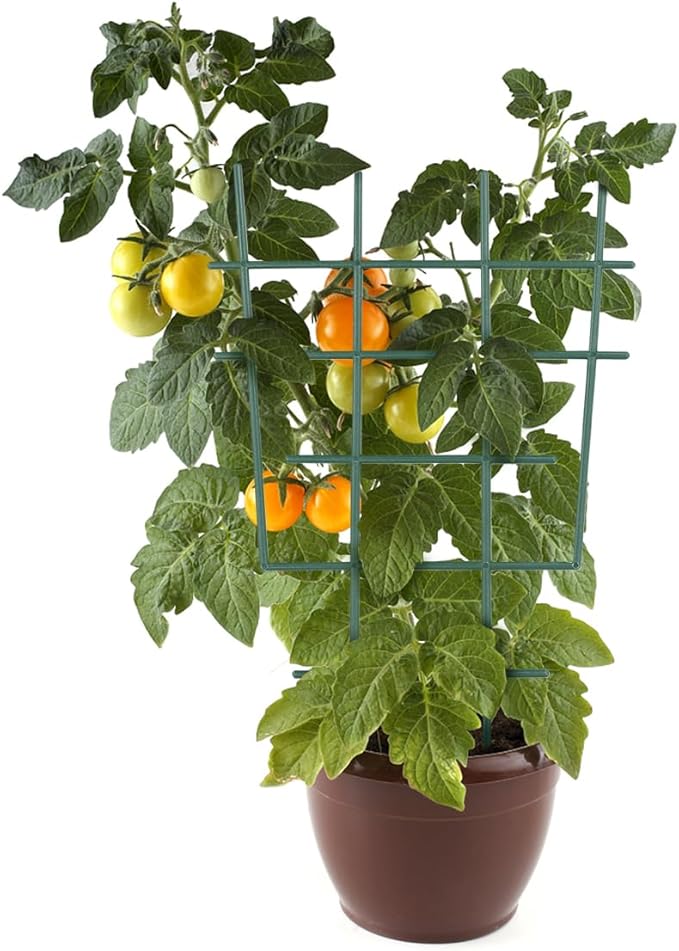 12inch Small Plant Trellis for Climbing Plants Indoor, 5Pcs Plastic Stackable Mini Garden Lattice for Potted Vines, Hoya, Pothos, Plastic Superimposed Support Stakes for Flower Vegetable (Green)