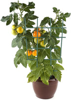 12inch Small Plant Trellis for Climbing Plants Indoor, 5Pcs Plastic Stackable Mini Garden Lattice for Potted Vines, Hoya, Pothos, Plastic Superimposed Support Stakes for Flower Vegetable (Green)