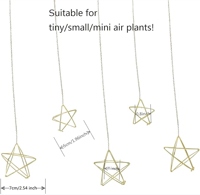 Newwe 5 Stars Kit Hanging Air Plant Holder Wall Gold Airplant Rack with Chains Home Wall Decor Boho Room Decoration Christmas Ornaments